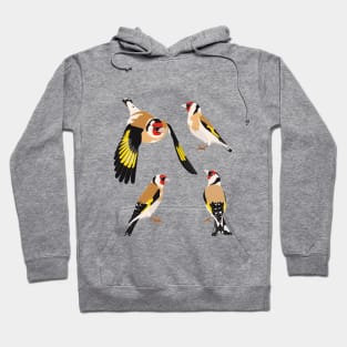 Goldfinches isolated on white background Hoodie